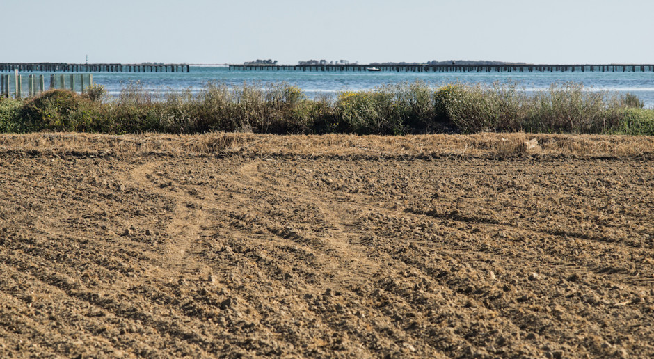 Tarragona, Hiszpania; Fot. Shutterstock Hiszpania i Portugalia: Gminy apelują do rządów o pomoc w związku z suszą