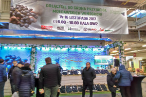 Mołdawskie winogrona trafią na polski rynek przez Bronisze