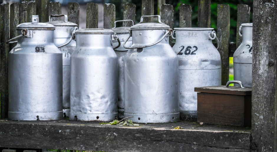 fot. pixabay.com Ceny przetworów mlecznych znów spadły
