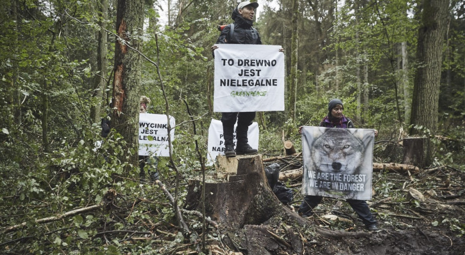 Fot. Greenpeace Wina, ale bez kary za blokowanie wycinki w Puszczy Białowieskiej