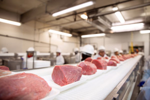 Zjednoczone Emiraty Arabskie chcą kupić 100 ton mięsa
