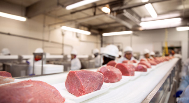 Zjednoczone Emiraty Arabskie chcą kupić 100 ton mięsa