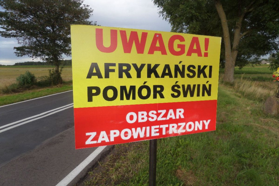 Ognisko ASF stwierdzono w gospodarstwie położonym w gminie Włodawa
