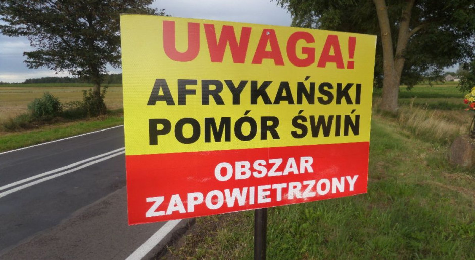 Ognisko ASF stwierdzono w gospodarstwie położonym w gminie Włodawa W Lubelskiem wykryto kolejne ognisko ASF u świń