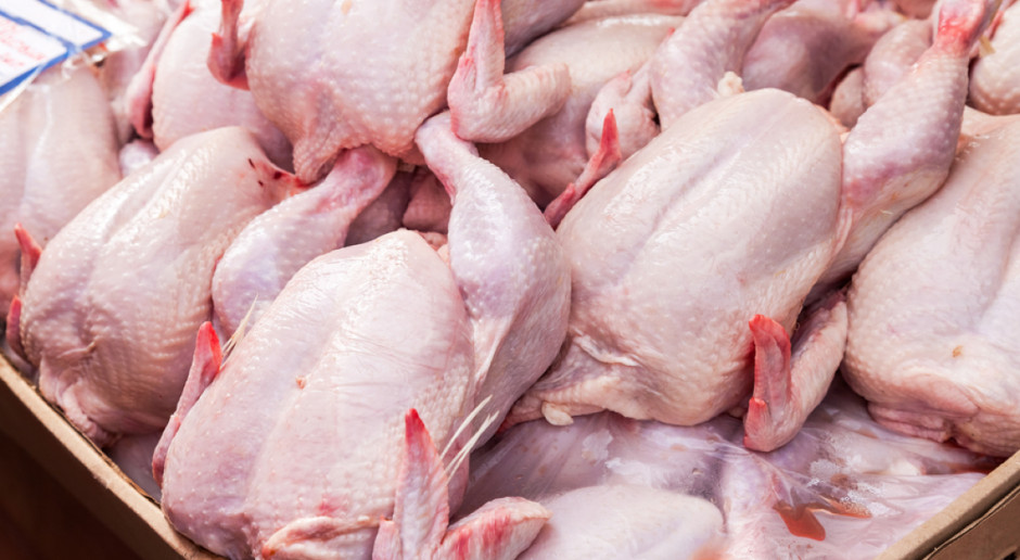 Eksportować drób do Singapuru będzie sześć polskich zakładów, uprzednio zatwierdzonych przez singapurską stronę, fot. Shutterstock MRiRW: Polski drób pojedzie do Singapuru