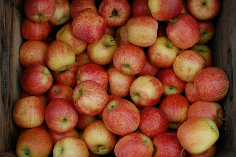 Według profesora Eberharda Makosza (TRSK), zapasy jabłek w Polsce na początku listopada wynosiły 1,2 mln ton (Fot. pixabay.com)