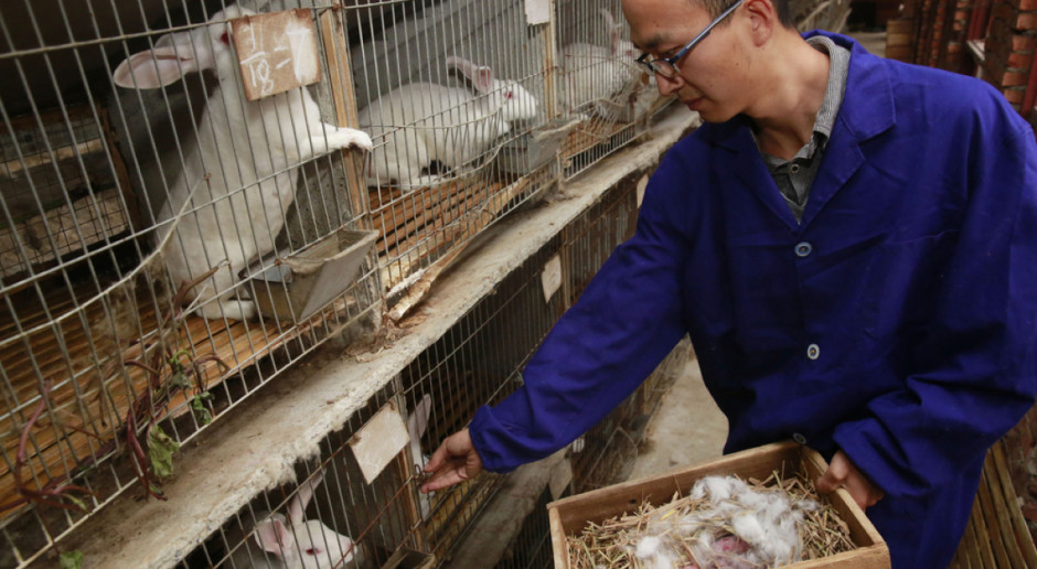 Chiny już od wielu lat są światowym centrum produkcji odzieży i akcesoriów z futer naturalnych, ale w ostatniej dekadzie stały się również największym konsumentem finalnych produktów futrzarskich; Fot. humphery / Shutterstock.com Chiny światowym liderem branży futrzarskiej