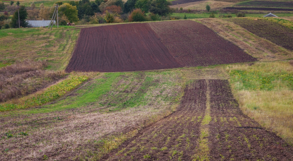 Ukraina: Parlament przedłużył moratorium na sprzedaż ziemi rolnej