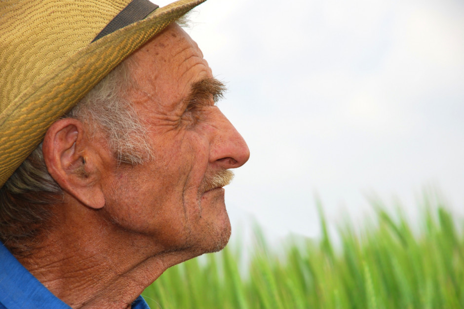 Wyniki PSR 2020 pokazały, że starzeje się społeczność rolnicza, fot. shutterstock