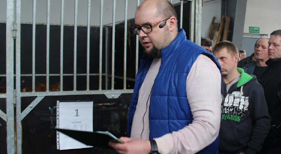 fot. PZHiPBM Za nami ostatnia aukcja bydła mięsnego w tym roku