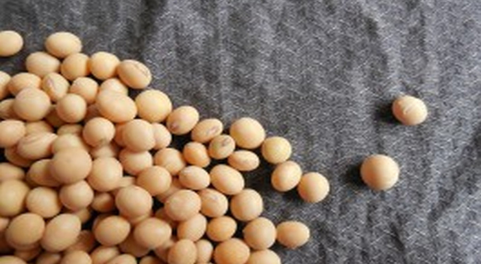 USDA: Światowa produkcja soi w sezonie 2017/2018 prognozowana jest na 348,5 mln ton (w listopadzie 349 mln ton) (Fot.pixabay.com) USDA: Kolejny wzrost prognozy światowej produkcji nasion oleistych
