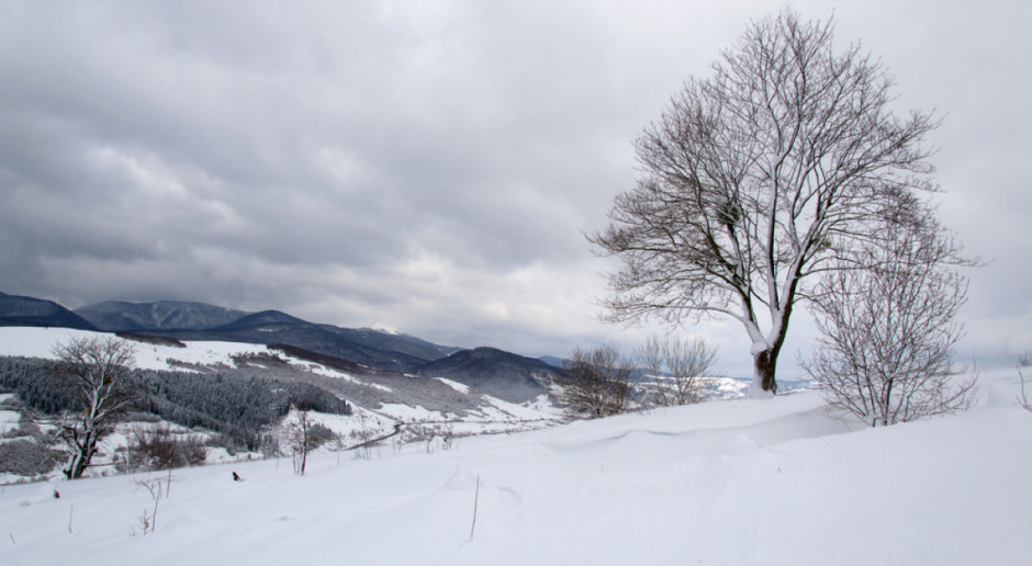 Fot. Shutterstock Prognoza pogody na 14 i 15 grudnia
