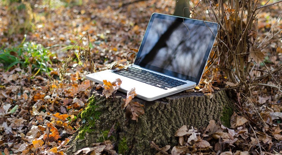 fot. Pixabay eWniosekplus – czy to może się udać?