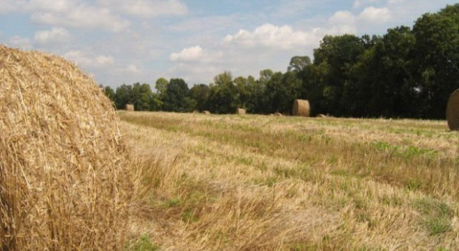 fot. farmer.pl Udział OZE w konsumpcji energii 27 proc. do 2030 r.?