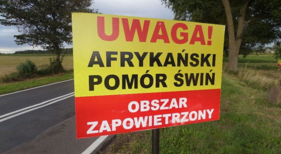 fot. K. Hołownia Komisja senacka nie wniosła poprawek do specustawy dotyczącej ASF