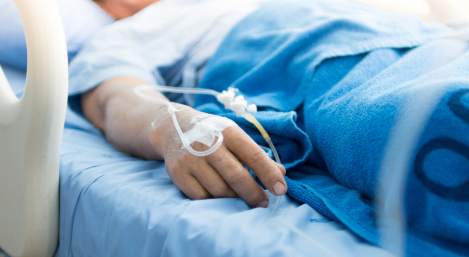 Fot. Shutterstock KRUS: Informacja dla prowadzących działy specjalne produkcji rolnej