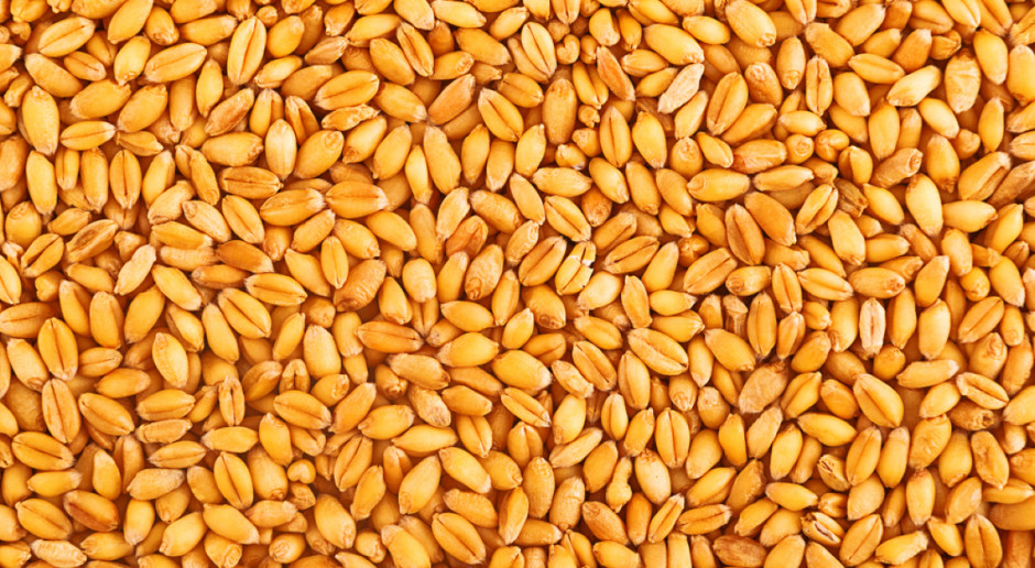 Fot. Shutterstock Utworzono markę Polskie Nasiona