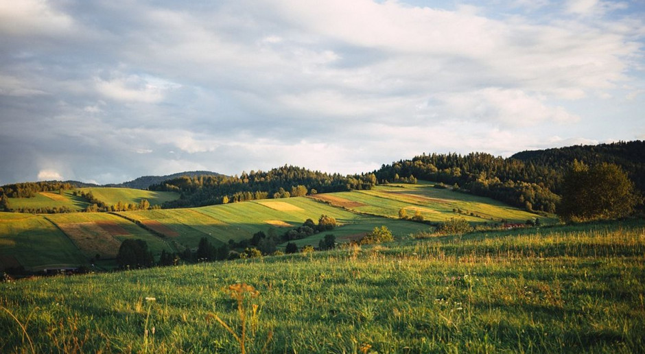 Fot. pixabay Zmiany w „Scalaniu gruntów” z PROW