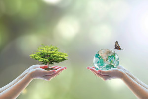 All Organic – jak sprostać problemom w rolnictwie ekologicznym?