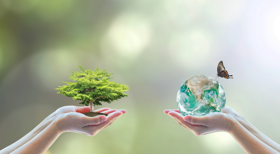 Fot. Shutterstock UE: Jest porozumienie ws. ograniczania emisji CO2 w non-ETS