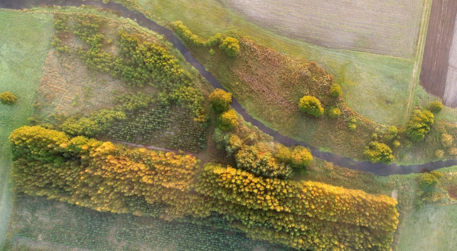 Fot. Shutterstock Polska ma być liderem w zakresie rozwiązań prośrodowiskowych
