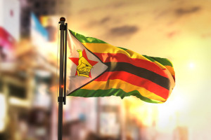 Zimbabwe: Biały farmer wrócił na swoją ziemię