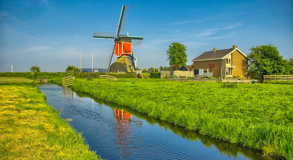 Fot. Shutterstock Holenderscy rolnicy z rekordowym dochodem