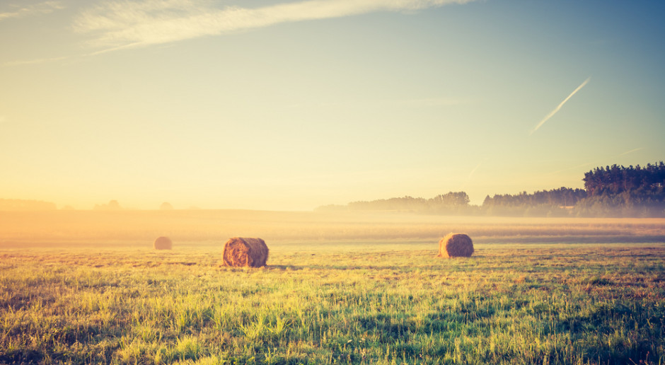 Fot. Shutterstock Nowa placówka KOWR w Częstochowie
