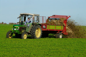 KE: „Perspektywy rolnictwa 2017-2030 – emisje związane z rolnictwem”