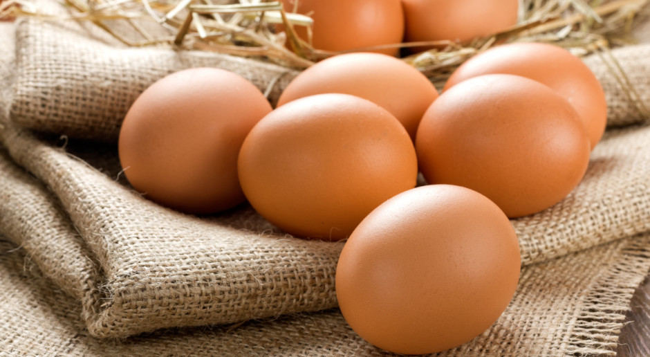 Fot. Shutterstock Jaja tanieją, ten rok może być trudny dla producentów