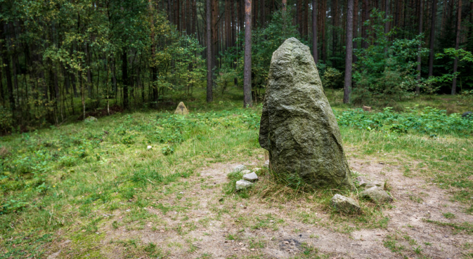 Fot. Shutterstock Tajemnicze kamienne kręgi odsłonili leśnicy w Nadleśnictwie Lidzbark