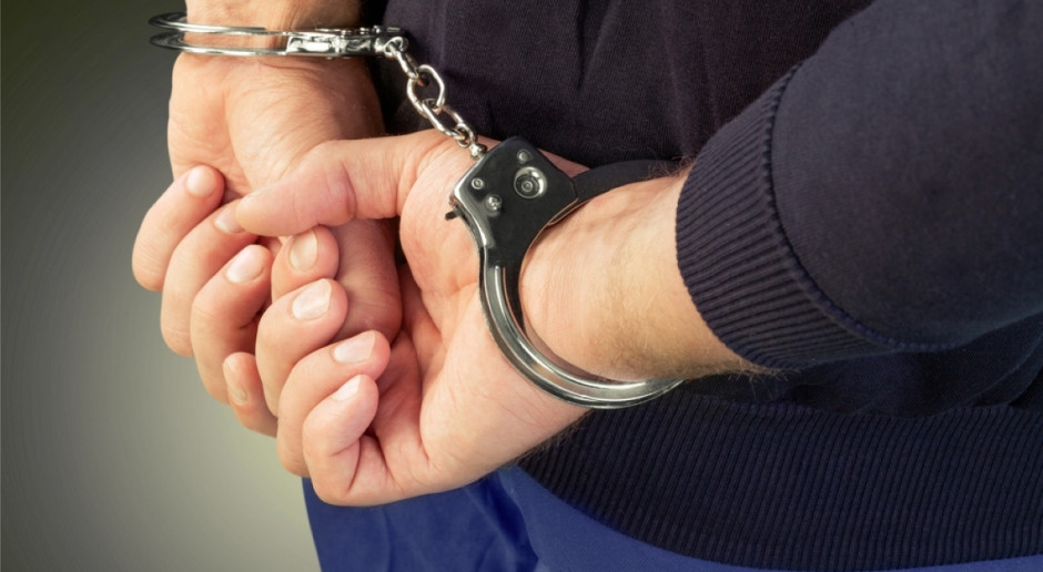 Fot. Shutterstock Podejrzany o przestępstwa seksualne sołtys - aresztowany