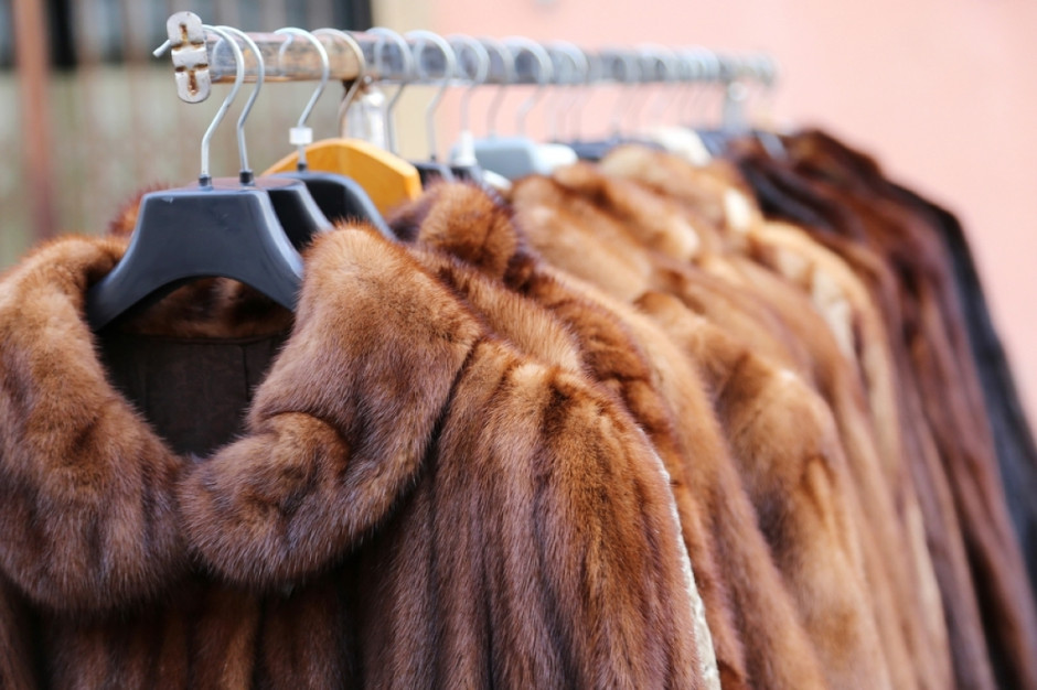 Izrael zakazuje handlu  naturalnymi futrami na potrzeby branży mody, fot. Shutterstock