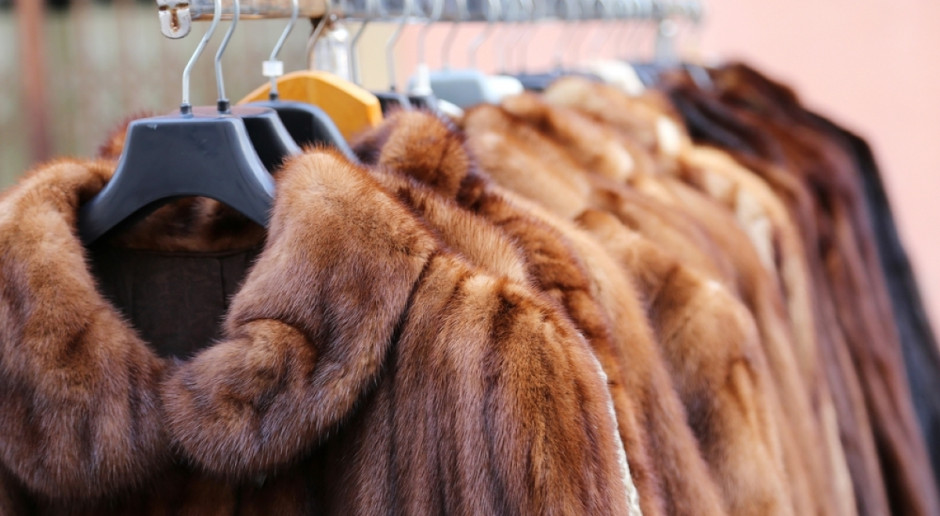 Izrael pierwszym krajem zakazującym handlu futrami naturalnymi na potrzeby mody