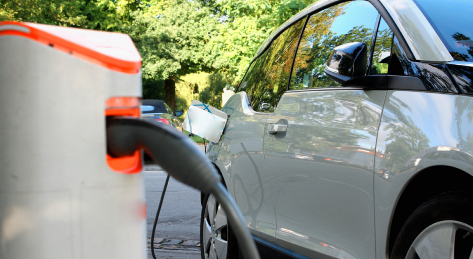 Fot. Shutterstock Opolskie: Lasy Polskie chcą pomóc właścicielom samochodów elektrycznych
