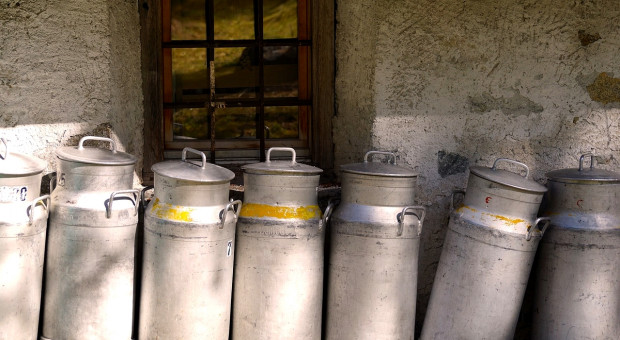 UE: Ograniczenia w skupie interwencyjnym odtłuszczonego mleka w proszku
