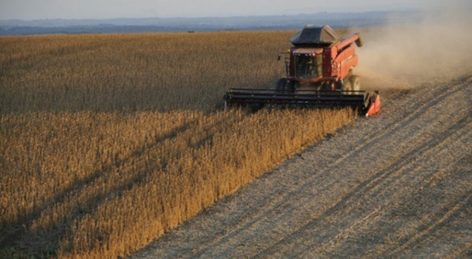 Fot.pixabay.com IGC: Prognoza światowej produkcji soi w sezonie 2017/2018 lekko wzrosła