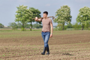 30 mln zł dla młodych rolników na zakup ziemi