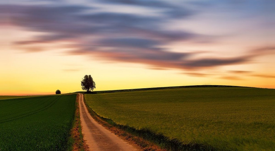 fot. Pixabay Zmiany w zasadach sprzedaży ziemi – w kwietniu