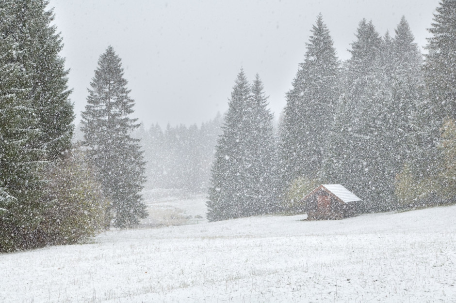 Według prognoz IMGW śnieg ma padać na Podkarpaciu przez całą najbliższą noc, fot. Shutterstock