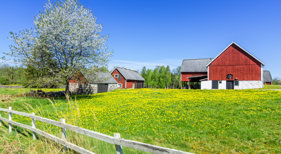 Fot. Shutterstock Znajomość rolnictwa w Skandynawii pojawiła się dzięki osadnikom z centralnej Europy
