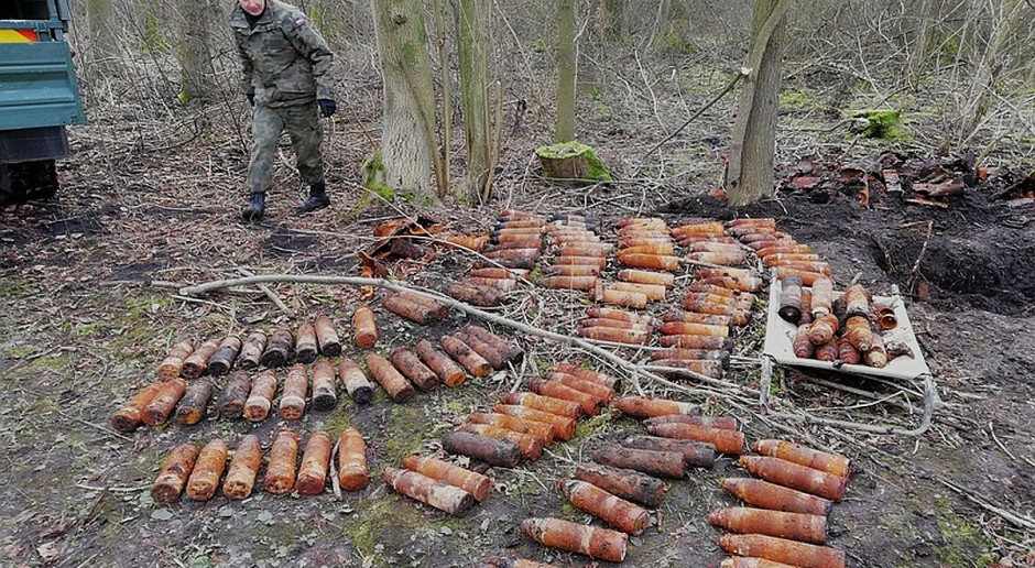 Fot.: Policja Arsenał znaleziony przy wycince drzew