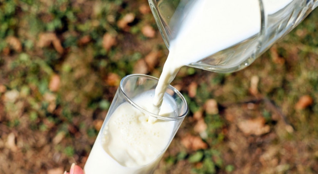 BGŻ BNP Paribas: Polacy piją więcej mleka, a Koreańczycy stawiają na warzywa 