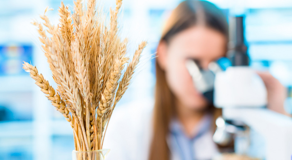 Fot. Shutterstock Sejm znowelizował ustawę o GMO