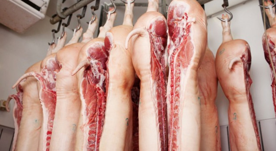 Argentyna: Rekordowe uboje świń