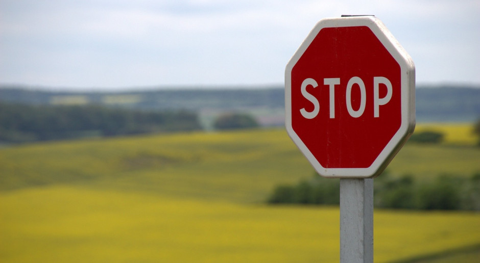 Fot. pixabay PO wzywa do wprowadzenia stanu klęski żywiołowej wz. z epidemią ASF