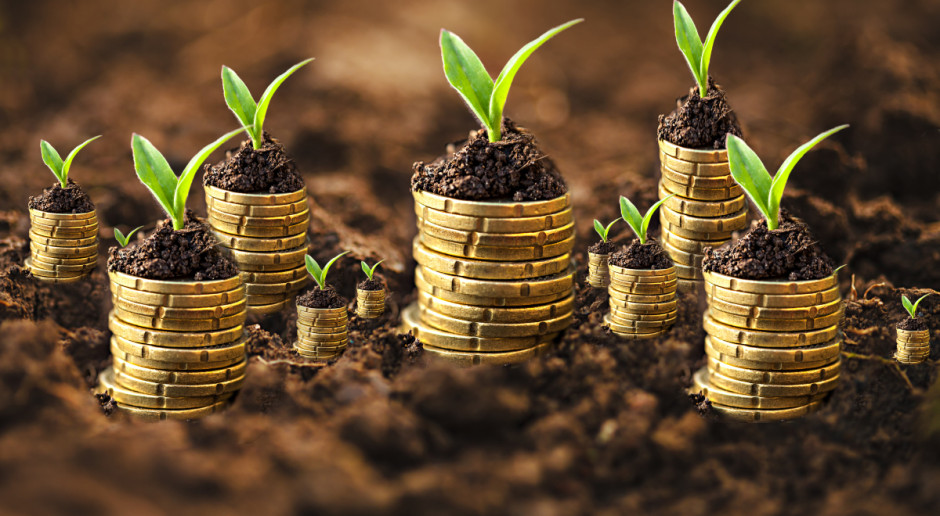 Fot. Shutterstock KOWR: Ponad 50 tys. ha gruntów wydzierżawili rolnicy w 2017 roku