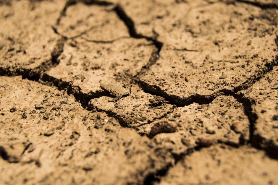 W hiszpańskiej debacie publicznej dotyczącej problemu suszy pojawiają się opinie, że na stan suszy w dużej mierze wpływ ma rolnictwo; Fot. pixabay