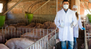 Izby Rolnicze apelują o przywrócenie części wymogów bioasekuracji w małych stadach świń