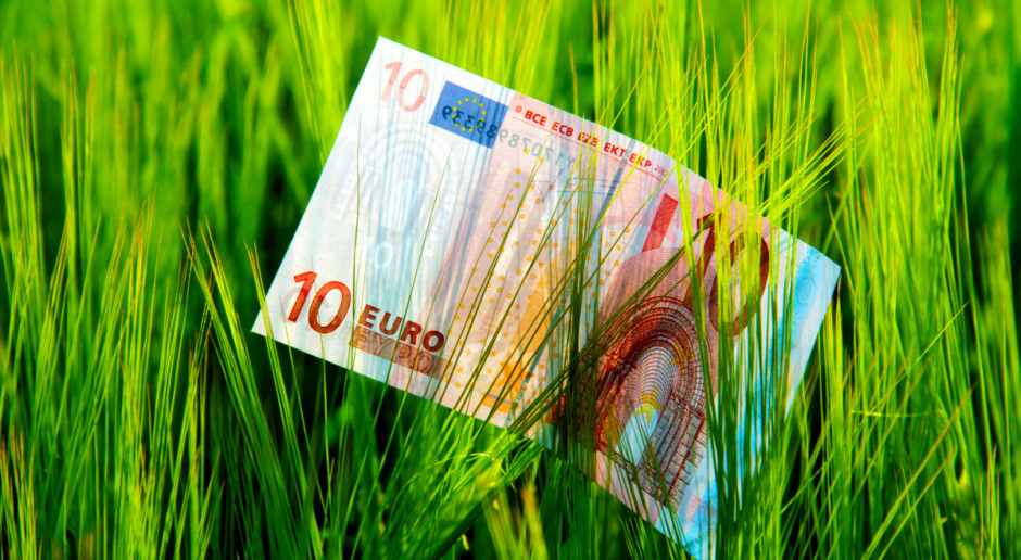 Fot. Shutterstock Parlamentarne komisje rolnictwa V4 za wyrównaniem płatności bezpośrednich